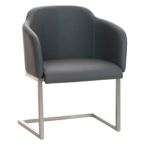 Sillón de Diseño TOKIO Piel
